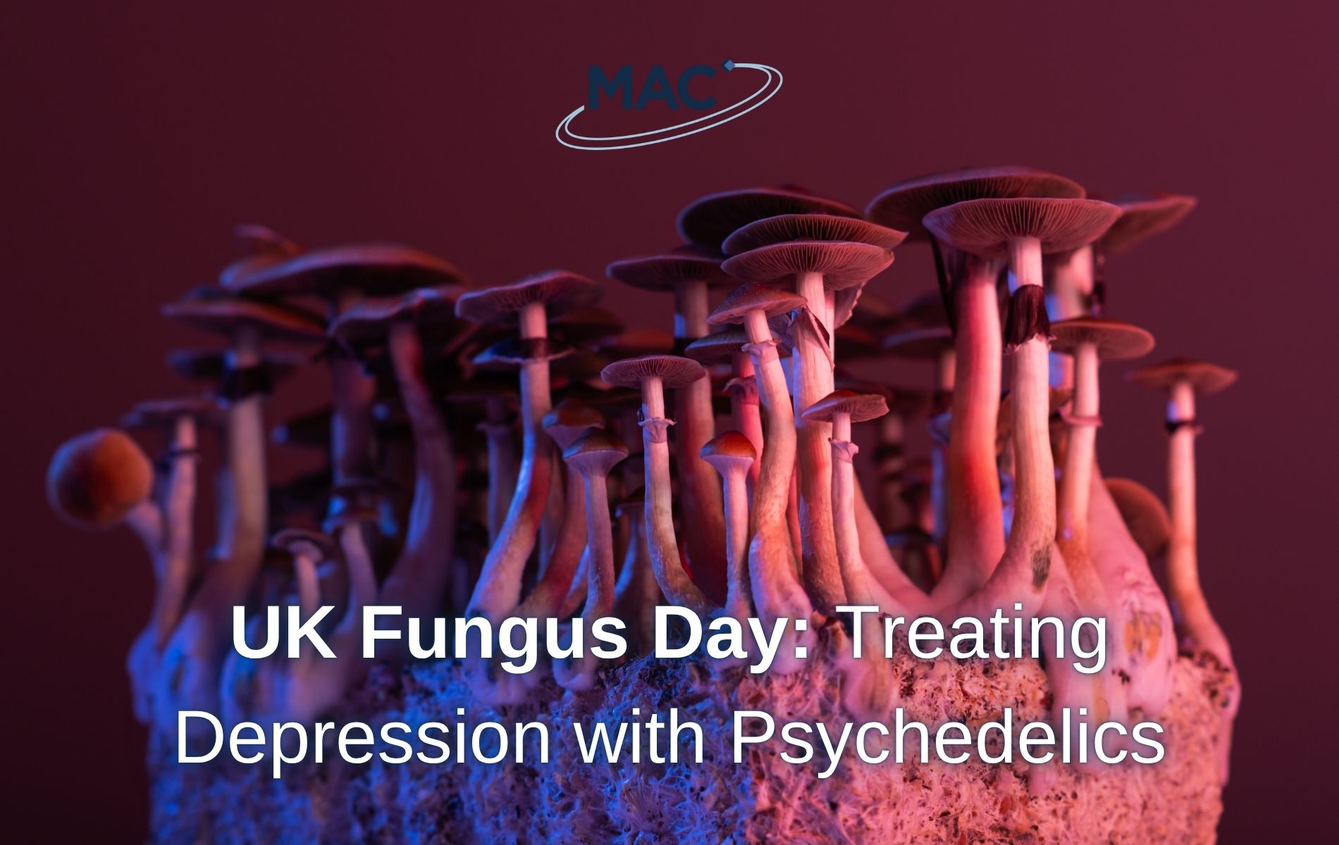 UK Fungus Day Treating Depression with Psychedelics